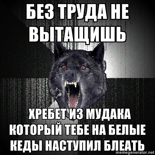 http://cs9803.vkontakte.ru/u107200365/140182275/x_f54b9abb.jpg